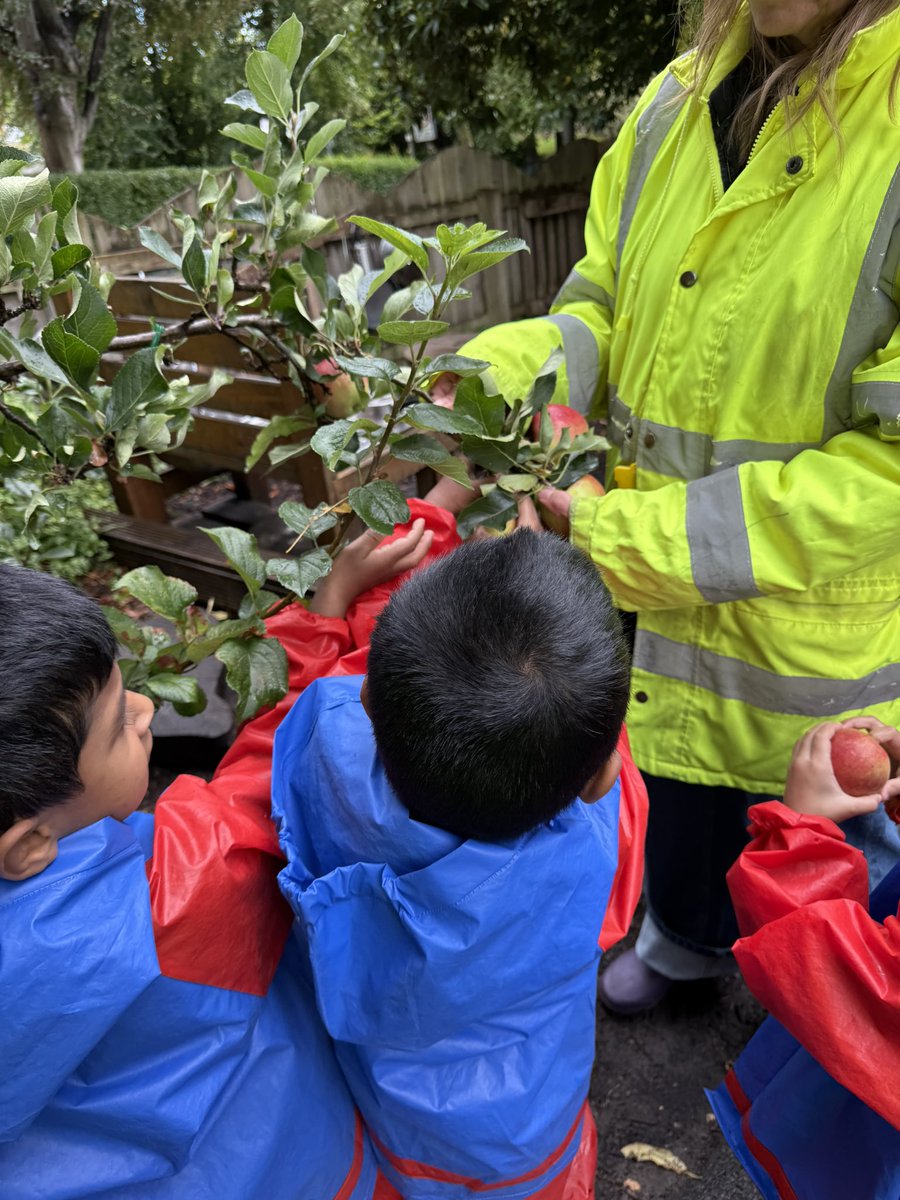 NithsdaleroadNS's tweet image. The boys and girls enjoyed picking our apples grown on Katy the Apple Tree and having them for snack! 
#EcoSchoolsScotland#EYGrowingourown#STEMGlasgow