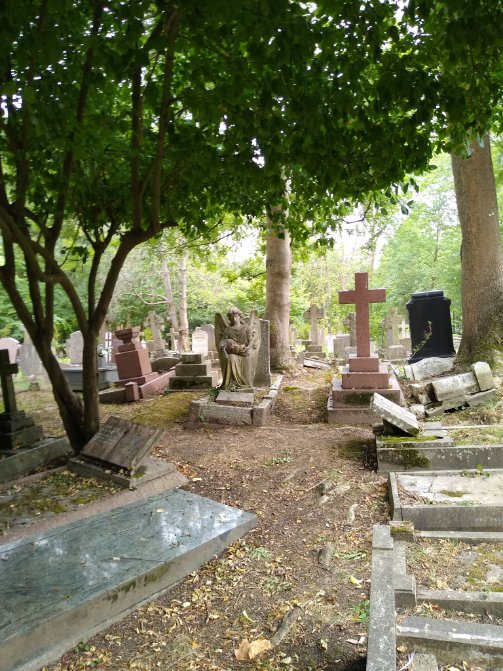 Just now, Highgate Cemetery, squirrel slaking its thirst angelically