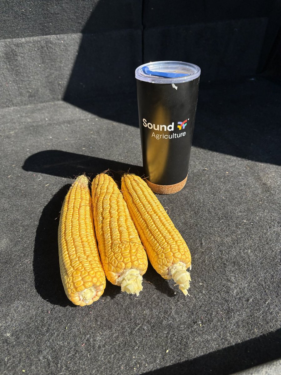 $150.00 bag corn &amp; Source conventional can work.