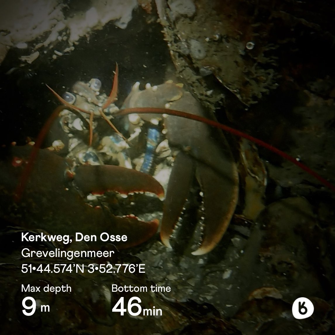 sysenem's tweet image. #265 Scuba Dive in Kerkweg, Den Osse / Zeeland NL