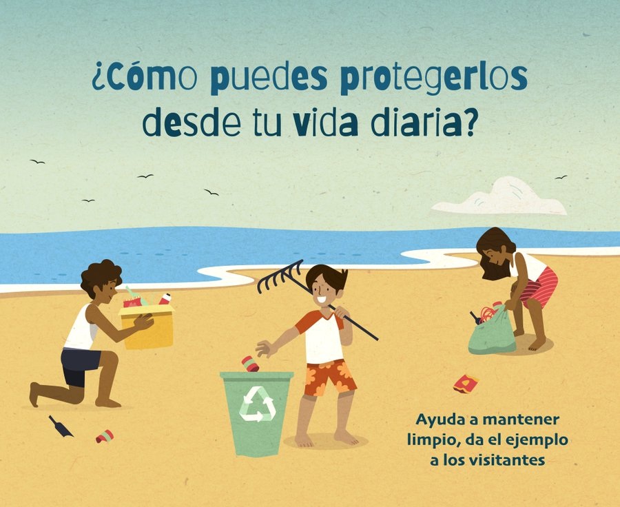 Los Cabos Journal tweet media