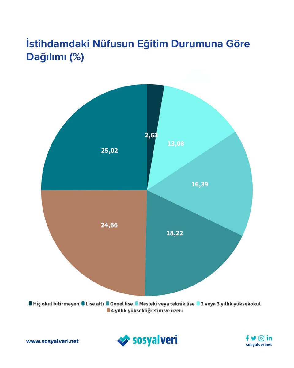 📊 İstihdamda Eğitim Kademeleri: Kim Daha Önde?

Eğitim seviyesine göre istihdamda önemli farklılıklar göze çarpıyor.

🔹 Hiç okul bitirmeyenlerin payı %2,63
🔹 Lise altı eğitim seviyesindekiler en yüksek gruplardan biri: %25,02
🔹 Genel lise mezunlarının oranı %16,39
🔹 Mesleki