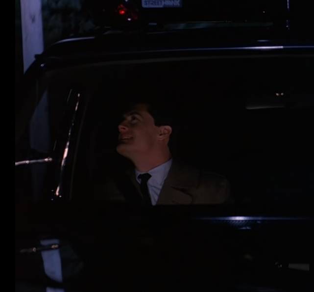 guy in complete awe for trees