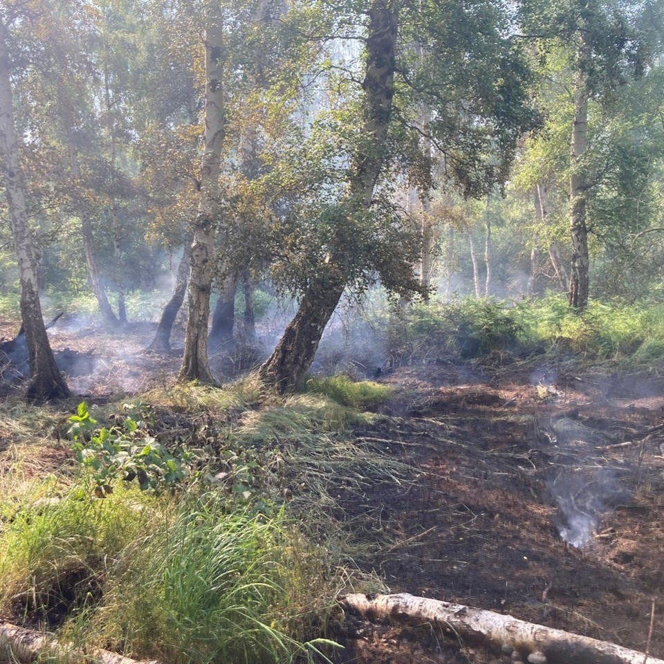 Natural England (@naturalengland) on Twitter photo Wildfire risk is currently high (27-28 August). β οΈ
You can help prevent wildfires: 
β Don't light fires or fireworks in the countryside.  
β Leave BBQs at home.  
π If you see a fire unattended, get to a safe place and call 999. 
π·<a href="/cambsfrs/">Cambridgeshire Fire and Rescue Service</a> Wildfire risk is currently high (27-28 August). β οΈ
You can help prevent wildfires: 
β Don't light fires or fireworks in the countryside.  
β Leave BBQs at home.  
π If you see a fire unattended, get to a safe place and call 999. 
π·<a href="/cambsfrs/">Cambridgeshire Fire and Rescue Service</a>