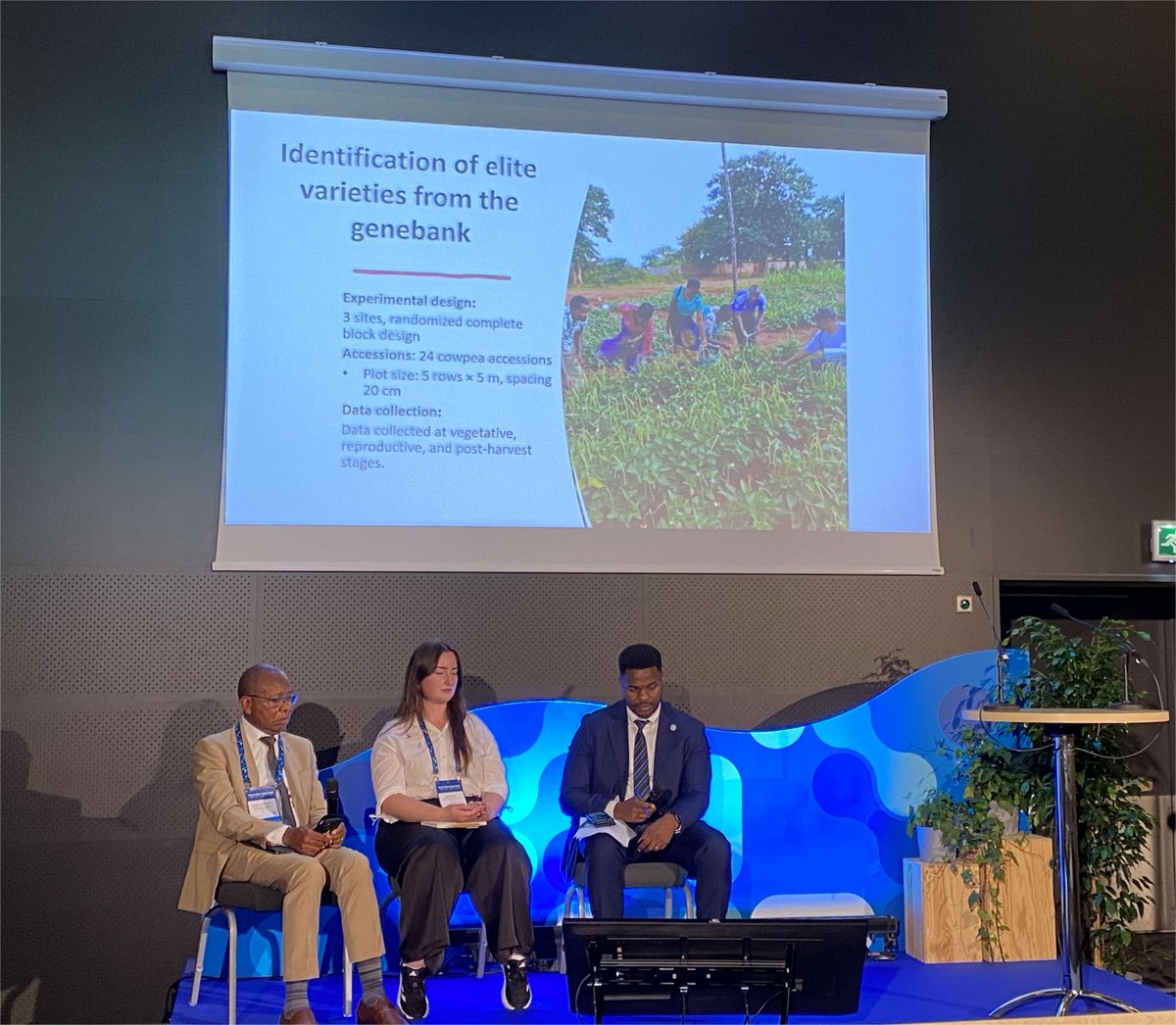 FAOLandWater's tweet image. 💧 #WASAG calls for integrated water-food-climate solutions. Forgotten crops fit the bill - tested in Malawi at 3 agroecological sites with farmers, including women and youth leading the way.

Read more 👉 fao.org/wasag/en

#WaterAction #WWWeek @siwi_www