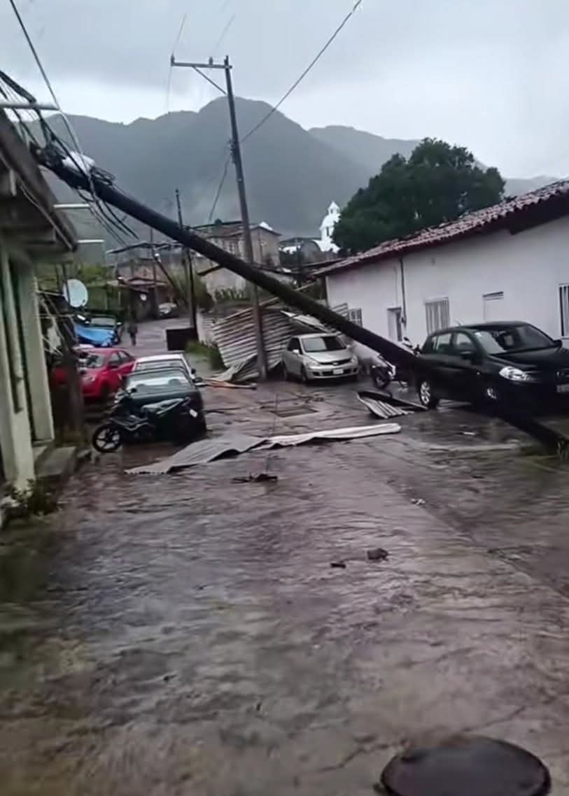 Camilla González fernández tweet media