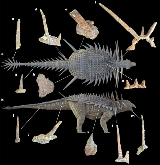 The Darknix (@thedarknix) on Twitter photo DINO NEWS!!!
Holy mother of God!!!!
New Study & material show us the extreme armor Spicomellus had, trully an Ark Style Dinosaur.
When life goes beyond fiction: nature.com/articles/s4158…
🎨: <a href="/Sketchy_raptor/">Dr Matt Dempsey</a>
#dinosaur #Science #ark #animals DINO NEWS!!!
Holy mother of God!!!!
New Study & material show us the extreme armor Spicomellus had, trully an Ark Style Dinosaur.
When life goes beyond fiction: nature.com/articles/s4158…
🎨: <a href="/Sketchy_raptor/">Dr Matt Dempsey</a>
#dinosaur #Science #ark #animals