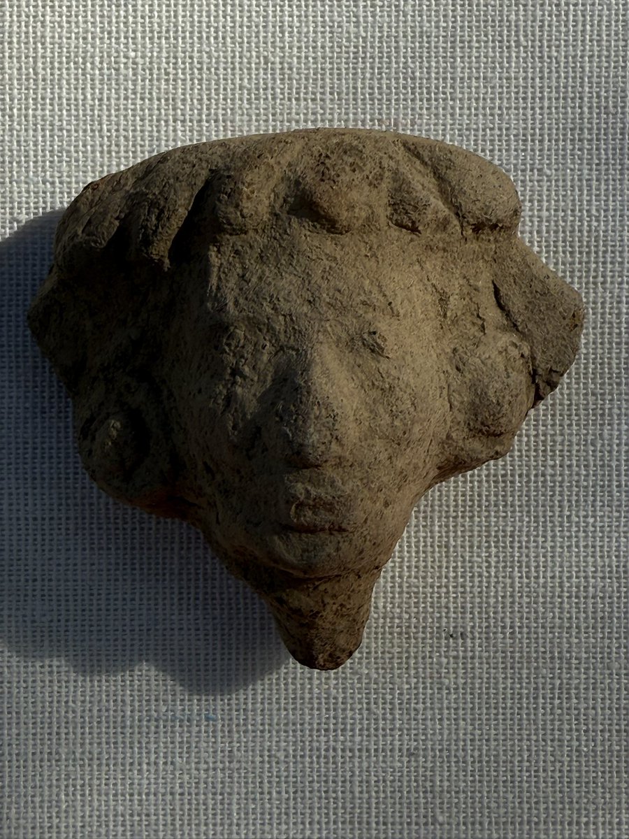 David Alexander Willis tweet media