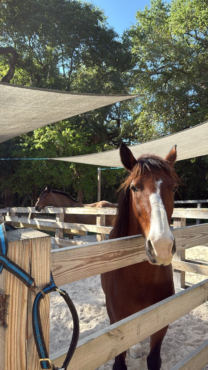 this is how i start my mornings from now on 

goodmorning everyone ✨