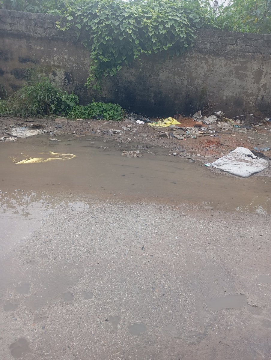 Patels (@hydpatels) on Twitter photo Hey <a href="/GHMCOnline/">GHMC</a>
Waterlogging, mud filled roads, potholes and sewage spread on the road.... What more hardships we need to face 😔😔
Location: Golden City pillar no 248
Contact no: 8019856890
<a href="/gadwalvijayainc/">Vijayalaxmi Gadwal, GHMC MAYOR</a>
<a href="/CommissionrGHMC/">Commissioner GHMC</a> Hey <a href="/GHMCOnline/">GHMC</a>
Waterlogging, mud filled roads, potholes and sewage spread on the road.... What more hardships we need to face 😔😔
Location: Golden City pillar no 248
Contact no: 8019856890
<a href="/gadwalvijayainc/">Vijayalaxmi Gadwal, GHMC MAYOR</a>
<a href="/CommissionrGHMC/">Commissioner GHMC</a>