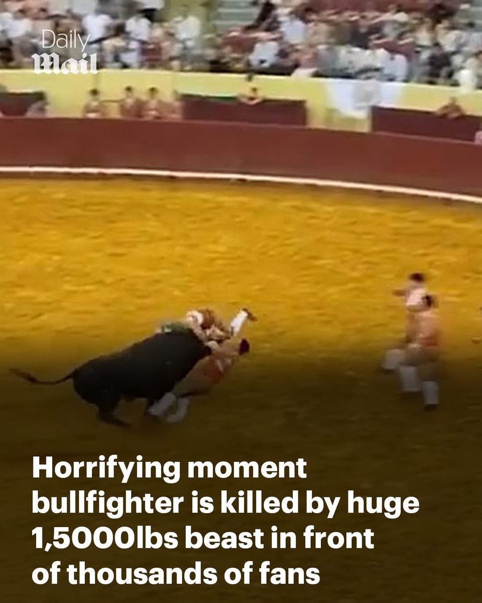 The only beast here was the bull fighter &amp; I can find no sympathy for his ultimate fate
