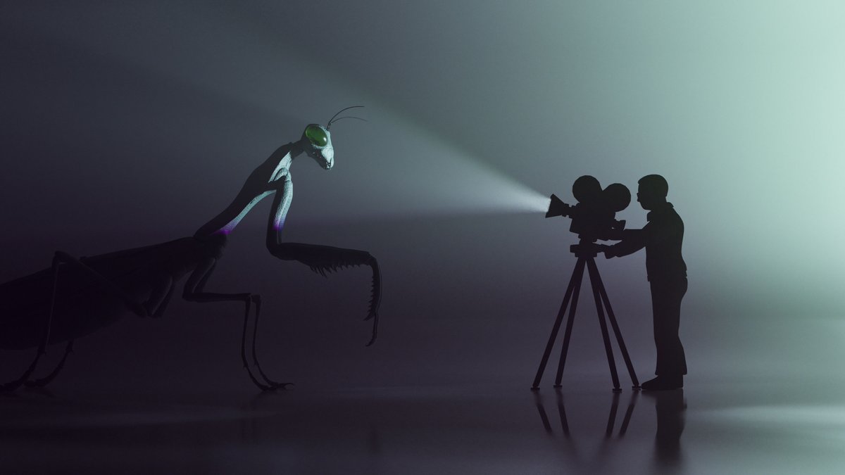 "camera man always dies" - Daily #946

<a href="/Over___Exposed/">Over Exposed</a>