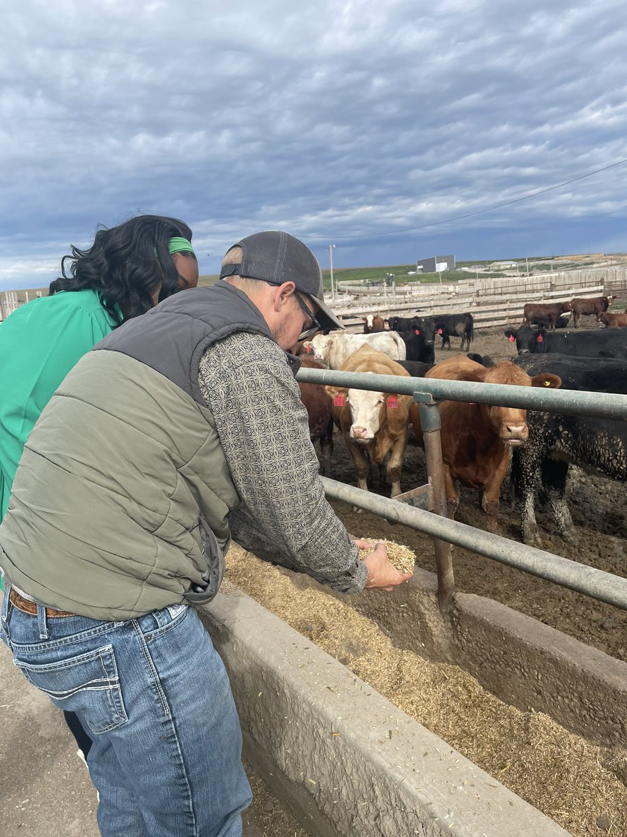 I love touring our member’s farms - I learn something new every time. Thorlaksons Feedlot is doing some innovative techniques to feed their cattle liquid digestate reducing their water and feed intake. Thanks for the great tour <a href="/tomthorlakson/">tom thorlakson</a> <a href="/CattleFeedersAB/">AB Cattle Feeders Association</a>