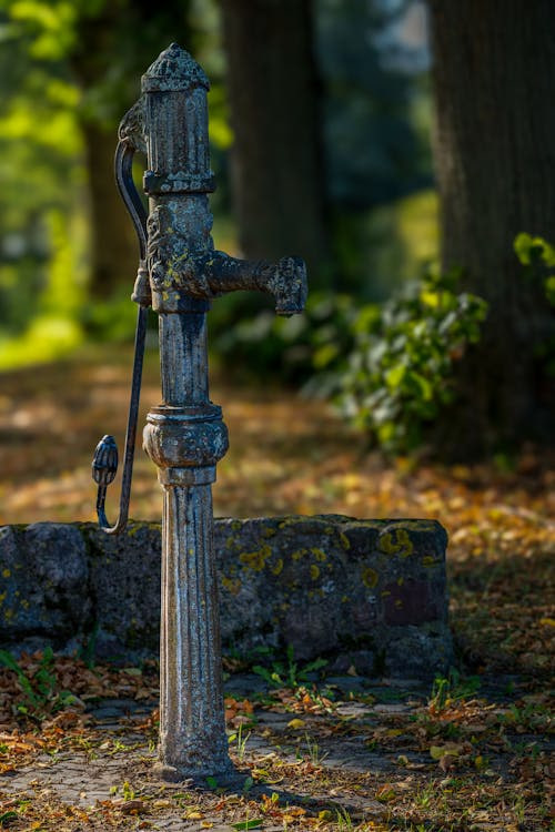 latamestates's tweet image. 2/6: Water Harvesting: 
Option 1- Dig a well, install a pump and a filter, then fill a tank installed on your house’s roof.
Option 2- Capture the abundant rainfall of the rio negro region via roof runoff into cisterns, Filters into 1,000 gallon tanks.
#RainwaterCollection