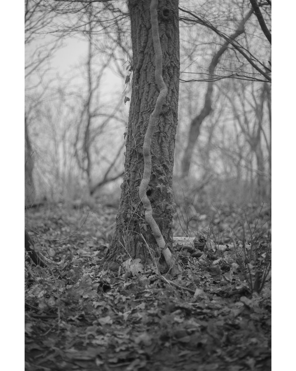 Alexander (@juststrangefeel) on Twitter photo 