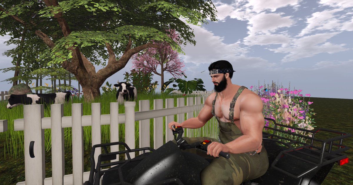 Took a ride arund tha cow pastcha taday. Need to fix some of tha fence up! Paw alwus tolt me that keepin a sturdy fence keeps the herd in place. I tend to listen to paw, he's a smart man. See ya'll real soon!