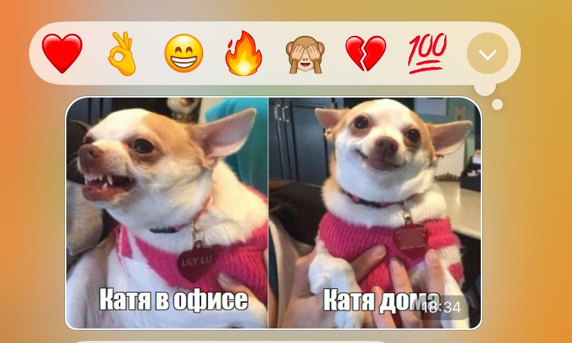 sheisschiz's tweet photo. успех - это когда твои сотрудники делают про тебя мемы! (чистая правда) https://t.co/tQw7x3Mqip