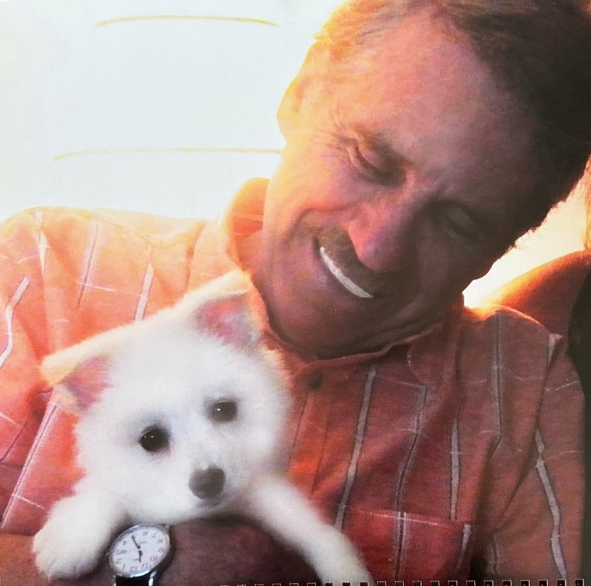 petertravers's tweet image. Celebrating National Dog Day with a look at our Lllipup on the day she first agreed to come home and live with us. Still grateful for her love and patience with us silly humans. #nationaldogday