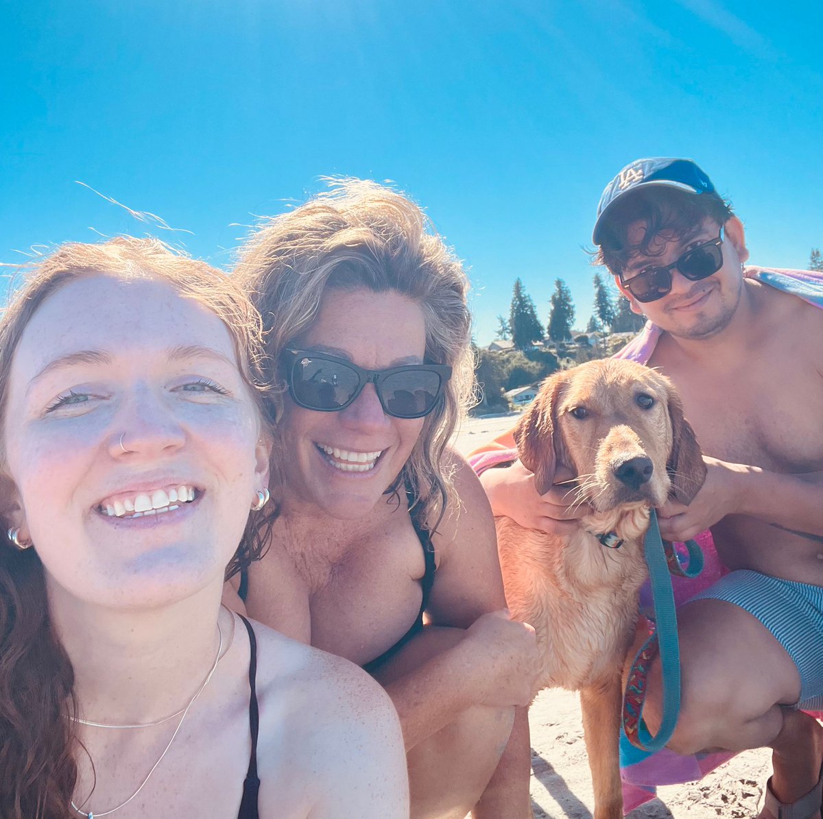 maryanne_pope's tweet image. I had some special visitors this weekend🐾🐾
🐕Luffy, Harleigh and Chey😊

#summerfun #friends #dogs #dogsmakelifebetter #beaches #Qualicum