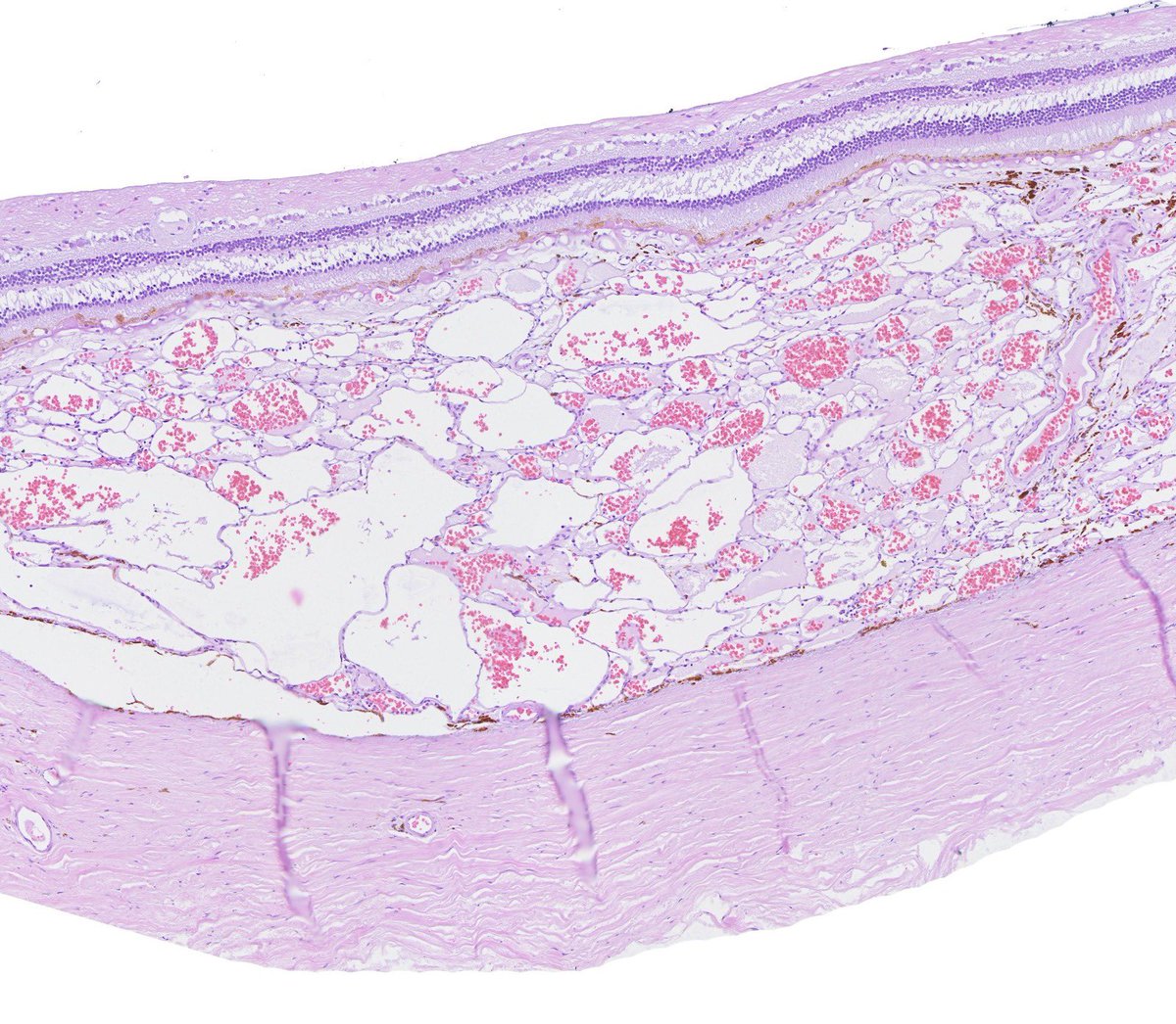 Estef Valdés tweet media