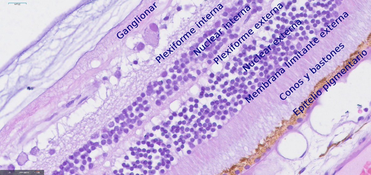 Estef Valdés tweet media