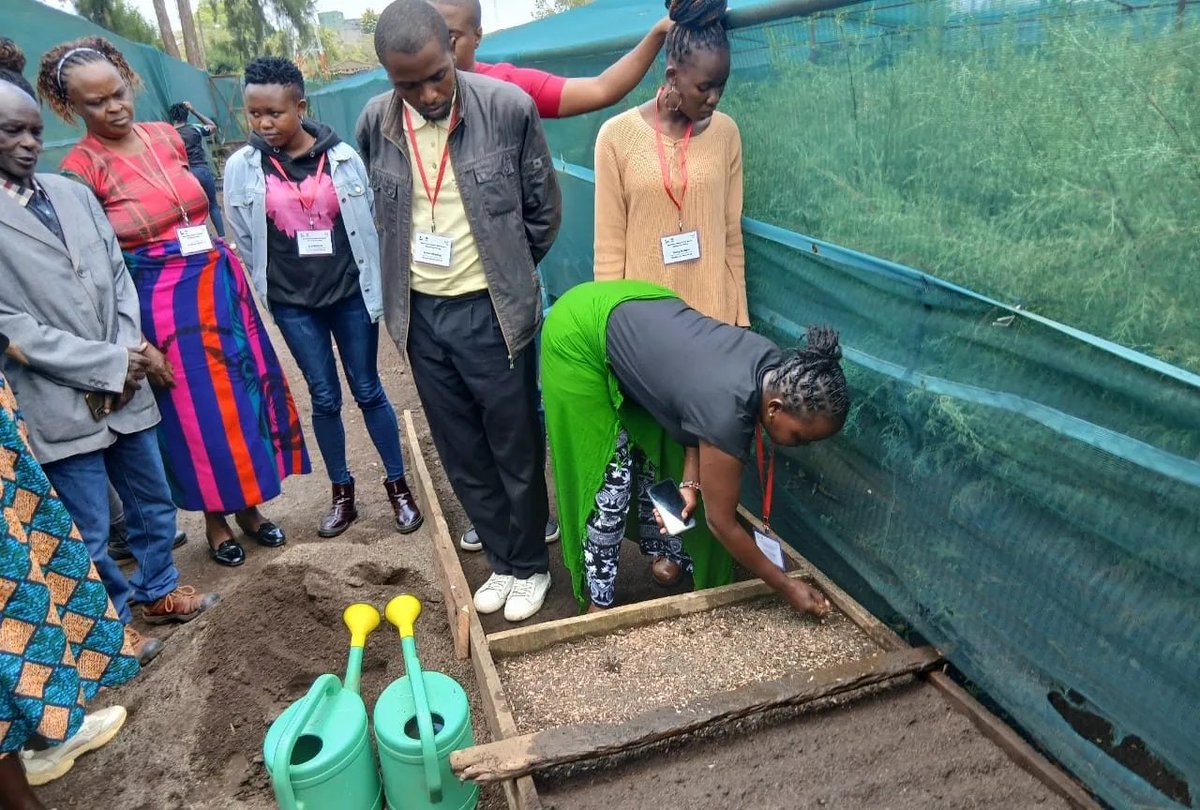 For many restoration practitioners, a lack of skills in tree nursery establishment and management is the biggest barrier to successful ecosystem recovery.

Read on the lessons from a tree nursery training in Kenya by CIFOR-ICRAF.

🔗: bit.ly/4opprdS

#TreesPeoplePlanet