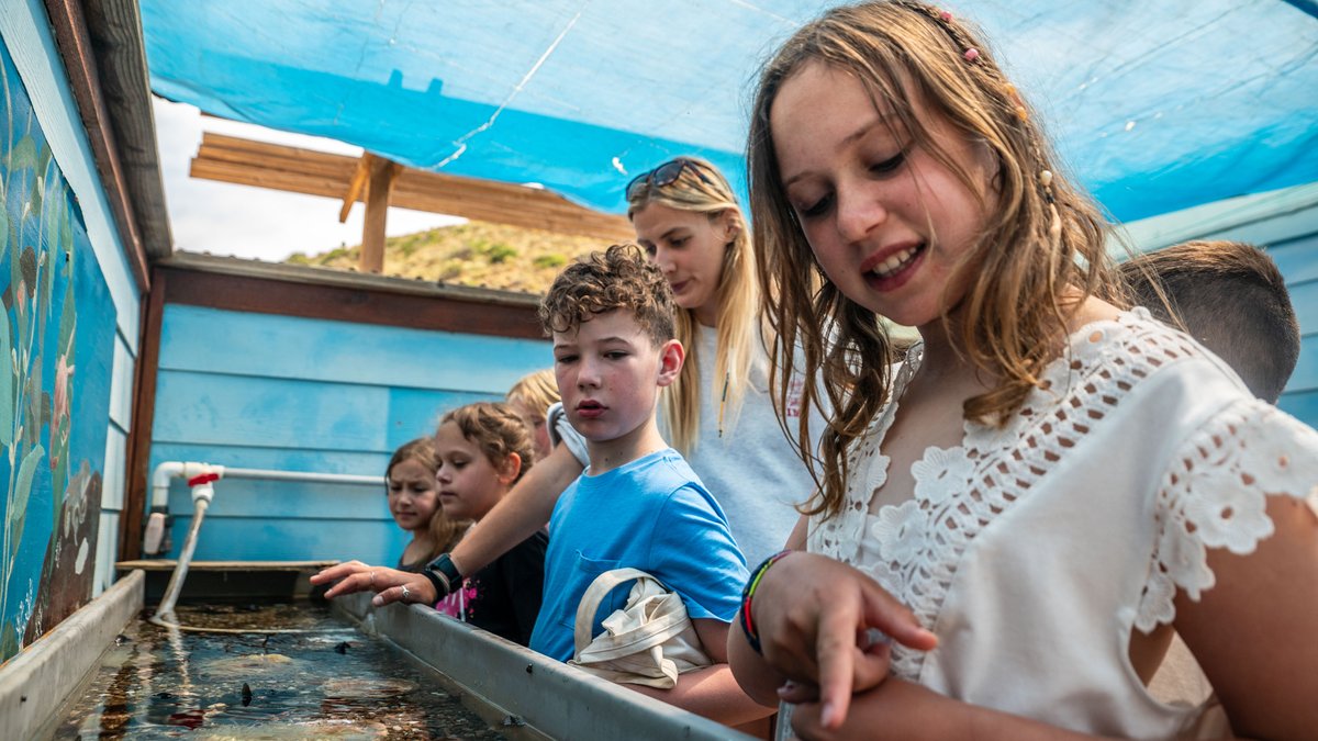 Back to school means back to CIMI!