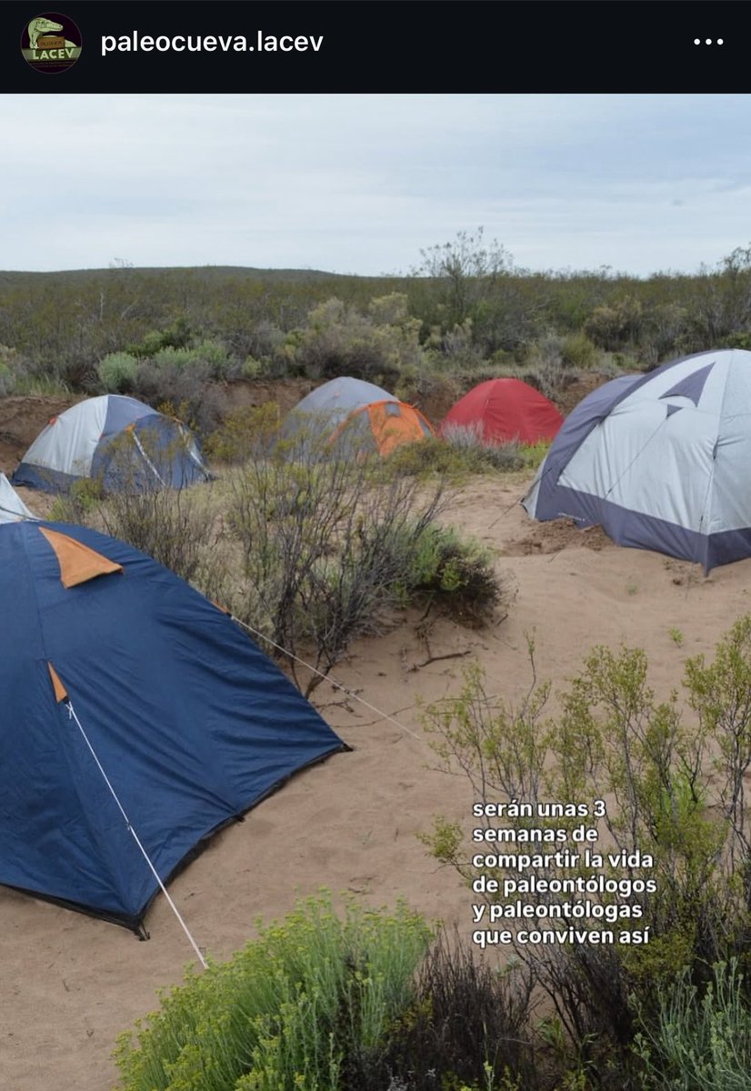<a href="/LACEV_MACN/">Lab. A. Comparada y Evolución de los Vertebrados</a> 🚨 SUMO DATA: el nuevo stream argentino de científicos del <a href="/CONICETDialoga/">CONICET Dialoga</a> será en la estepa patagónica de Río Negro, mostrarán cómo buscan e identífican fósiles y durará tres semanas.

📲 Más información: instagram.com/paleocueva.lac…