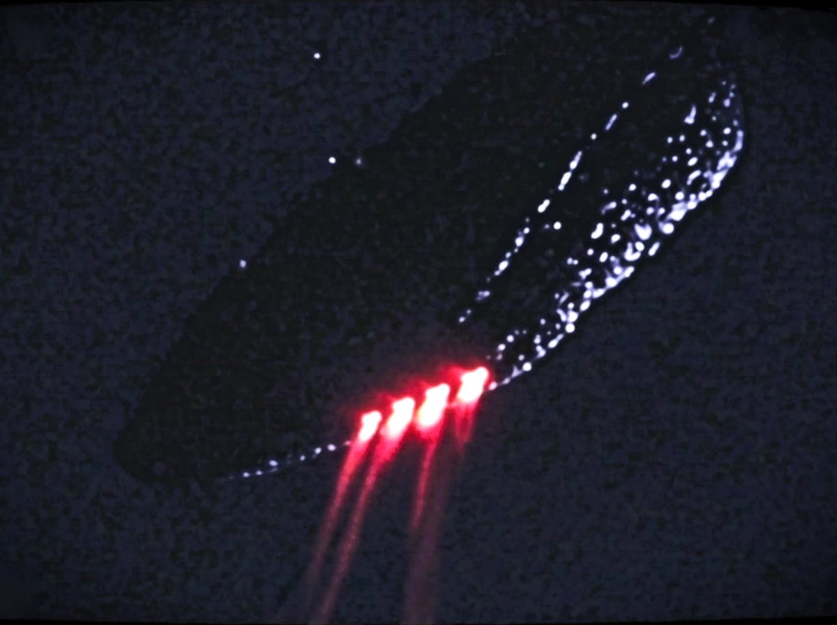 🔥🛸 
NEW VIDEO will be up in just a bit!
Hold tight. Stay tuned. -T 
#Secureteam10 #3IATLAS #UFO #BreakingNews #JamesWebb #ufotwitter #uaptwitter