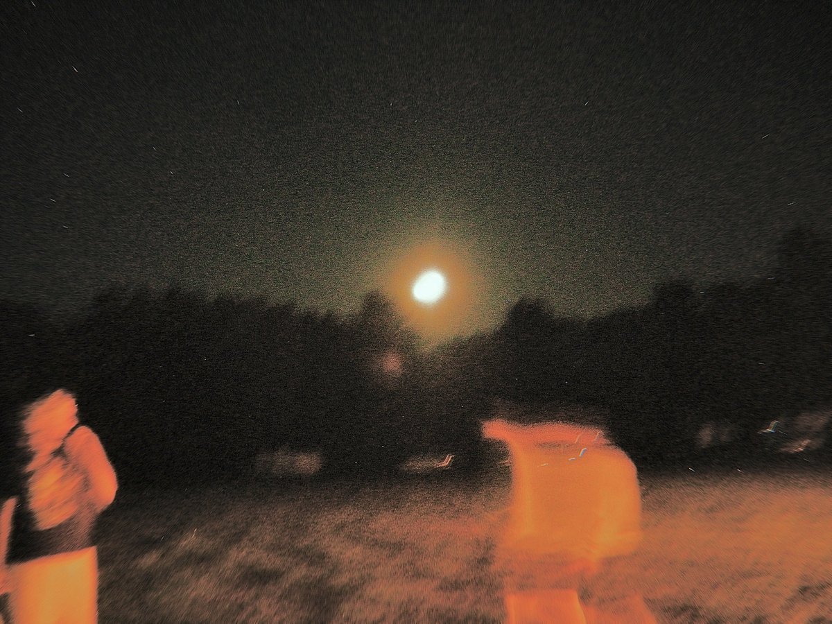 dynamodoh's tweet image. stayin busy