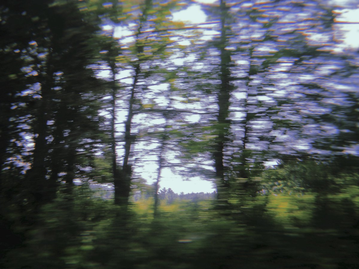 dynamodoh's tweet image. stayin busy