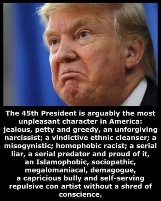 Jeanralston67's tweet photo. @JamesTate121 Democracy is not to be “stretched’, it centres around the constitution, and you and the other corrupt members of SCOTUS allowed a PEDOPHILE SEDITIONIST to run for the presidency. In six months he has caused more criminality and division than at anytime America political history. https://t.co/Y35brtXQBV