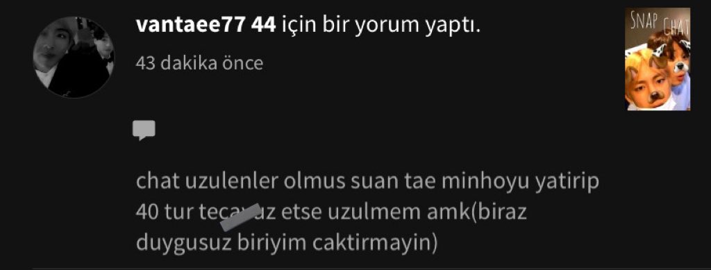 Sınır bilmek diye bişi var amk bir karakterden hoşlanmayabilirsin ama şu yorumu atıyorsan senin kafanda ciddi problem var demektir