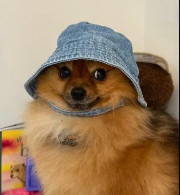 угадайте мой возраст (я справа)