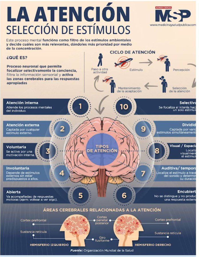 Vivimos en la sociedad de la distracción, entender los procesos mentales de atención te ayuda a identificar y abordar los problemas de concentración  

Aprender a seleccionar estímulos, no hacer mas de una cosa a la vez, buscar y planificar la atención sostenida es la gran clave