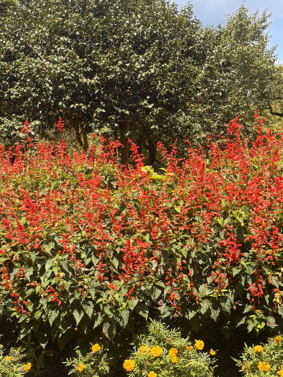 あっちゃんP2」 on X: 