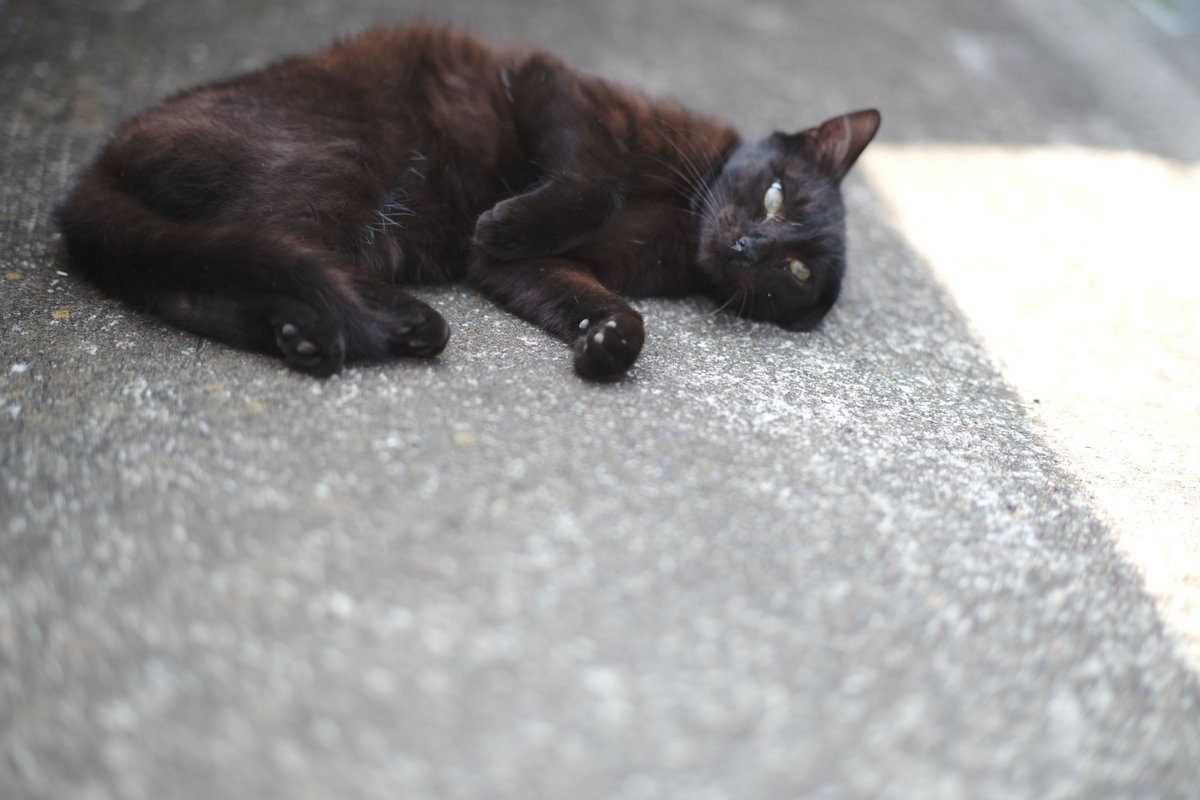 #クロジュを守りたい