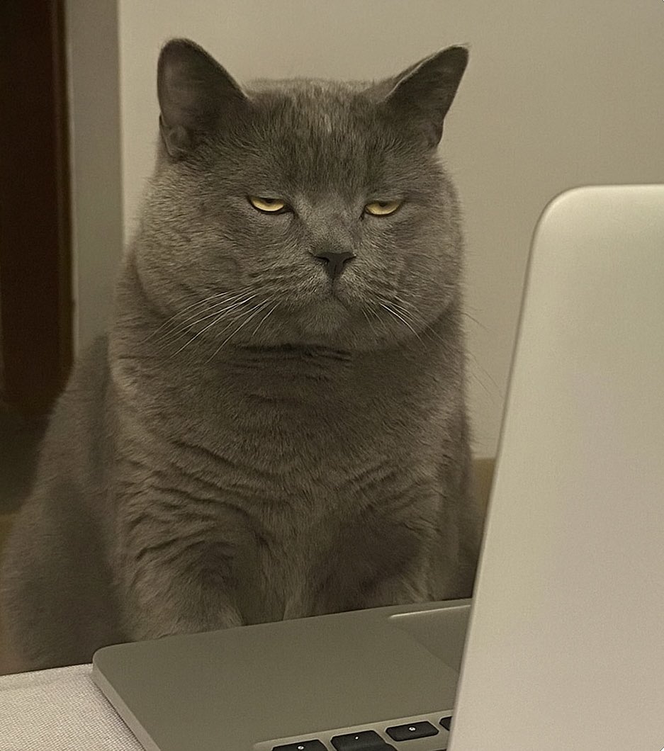 When I’m tweeting… 👇🏼👾