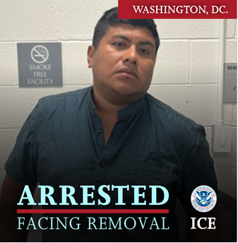 HSI Washington DC tweet media