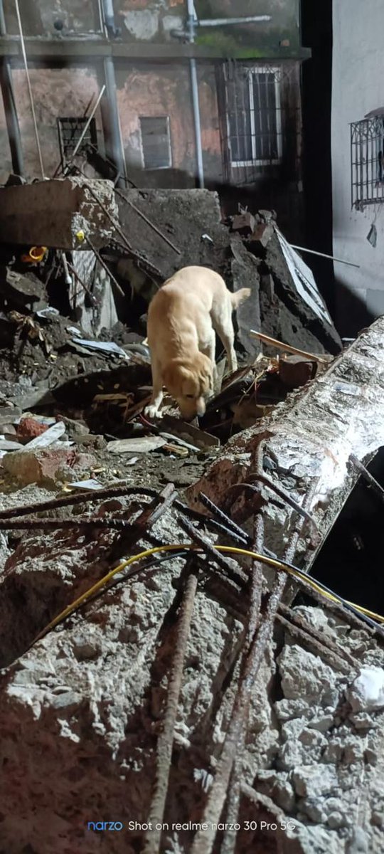 NDRFHQ's tweet image. #CSSR Ops | Virar East (Vasai, Palghar, MH)

🔸Rear portion of a 4-storey building collapsed on a chawl at Narangi Rd
🔸@05NDRF conducted #SAR Ops along with Fire &amp;amp; Civil Adm
🔸Rescued 03 people &amp;amp; retrieved 09 deceased from the rubble
🔸Teams engaged in Ops, #CSSR work continues