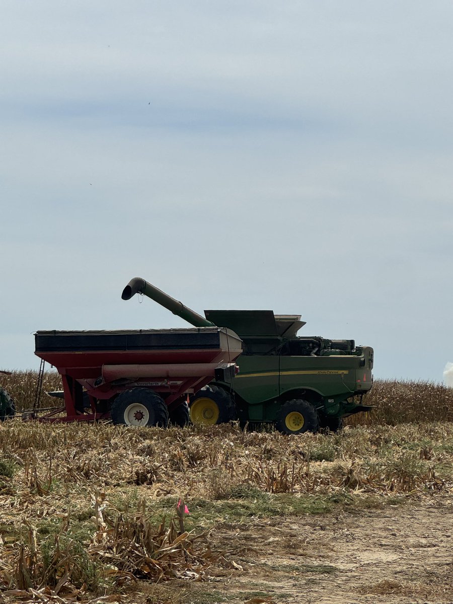 Craig Allen tweet media