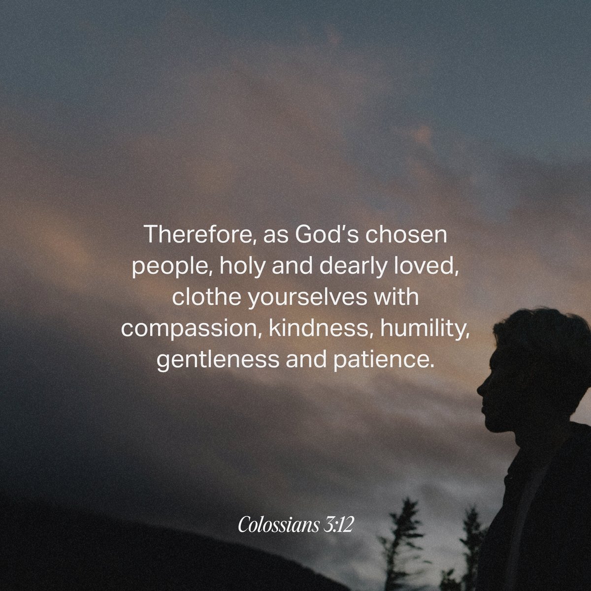 YouVersion's tweet photo. Colossians 3:12 https://t.co/RjeaHhl43A