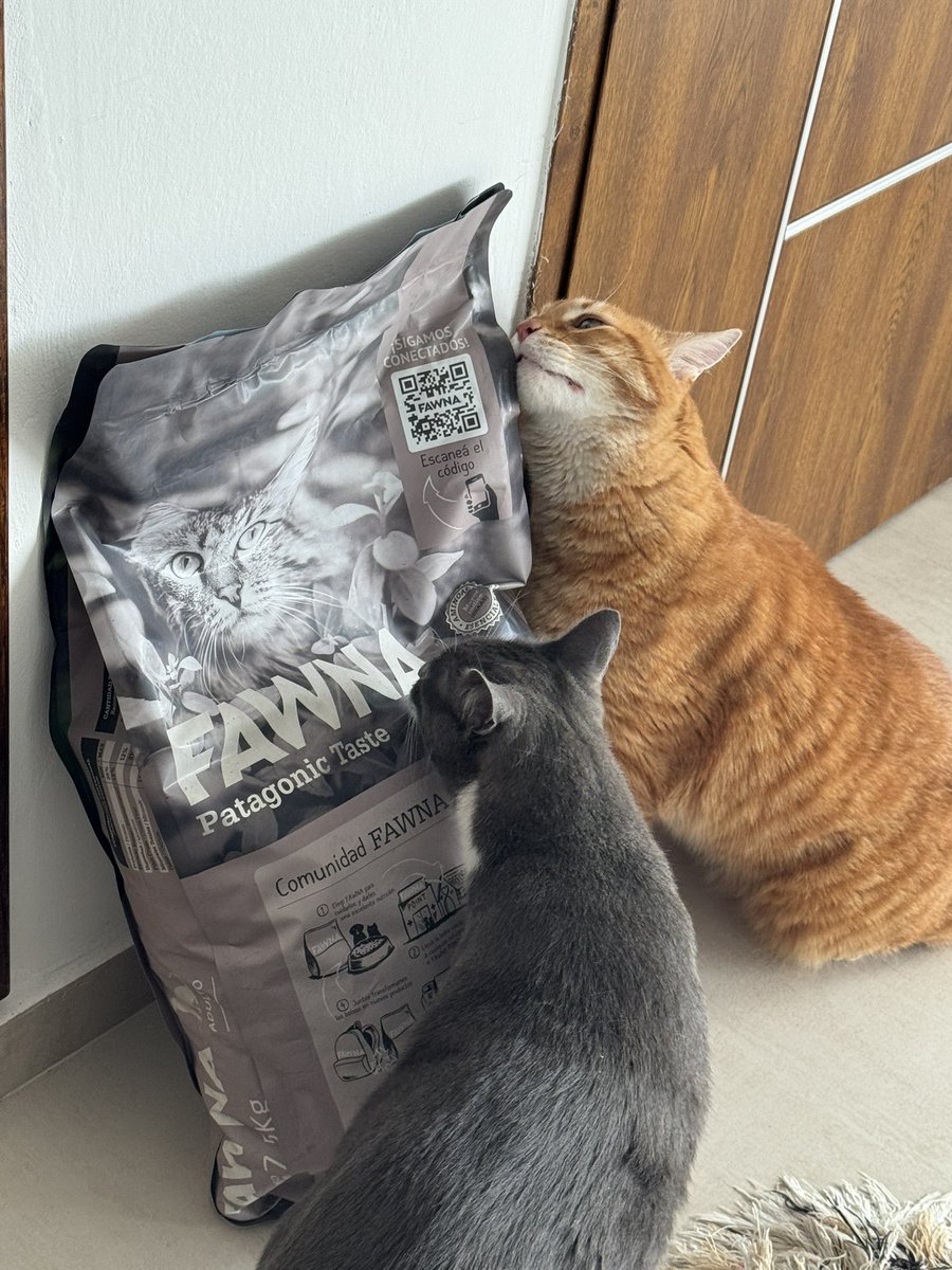 Gracias Karen por traernos el pan… 
Eso de cazar no va con nosotros