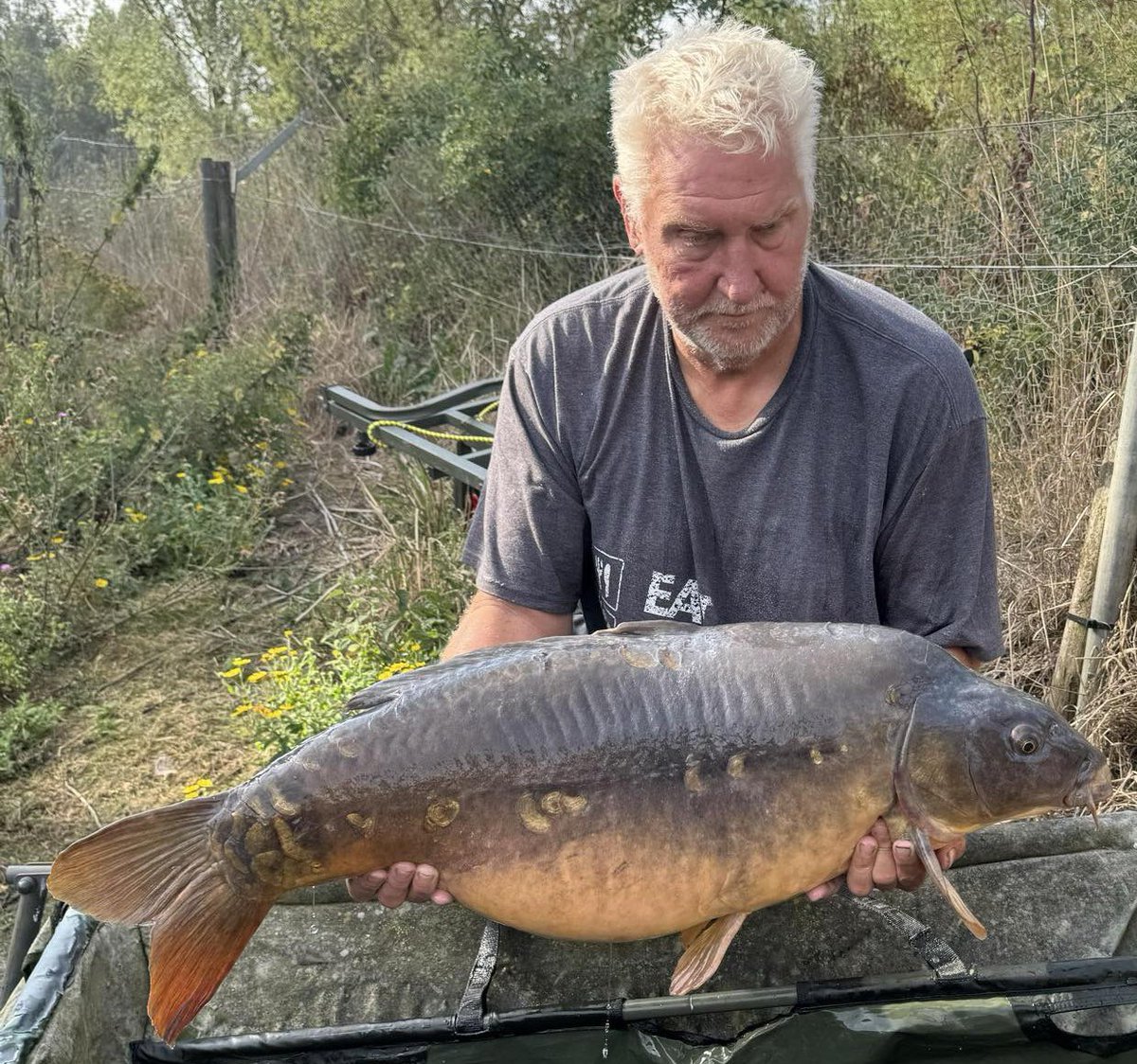 Bayeswater fisheries tweet media