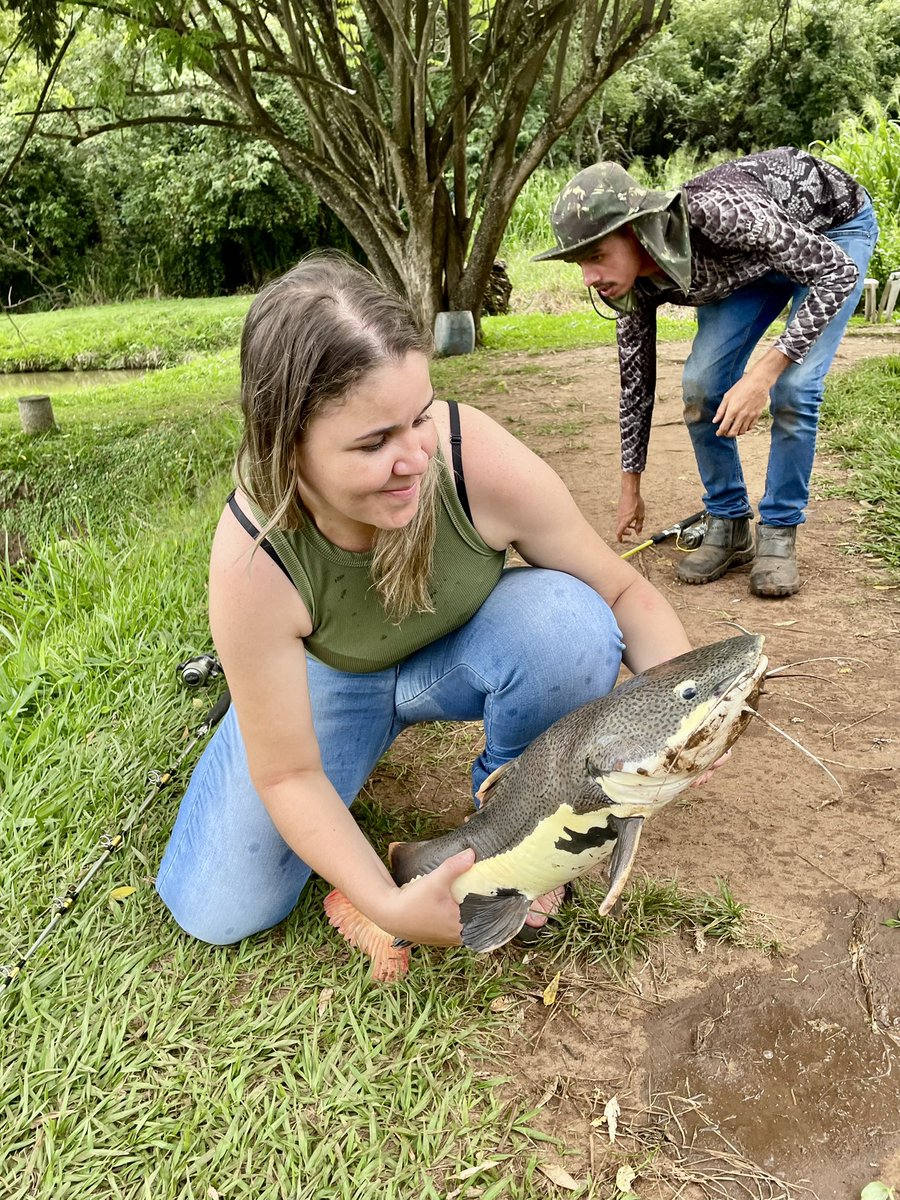 Engenheira Cedro tweet media