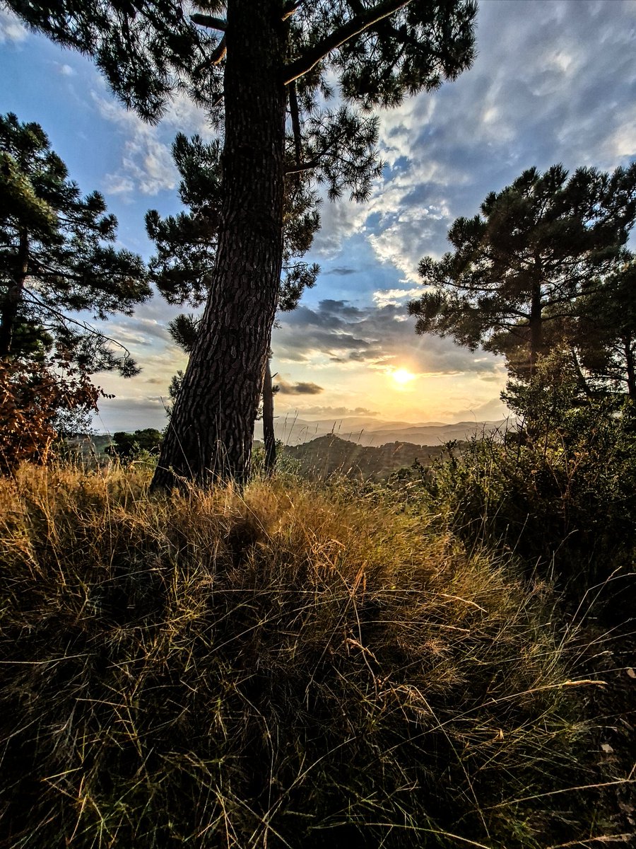 ¿Por qué todo me recuerda a ti?.
Será porque te estoy esperando...
#otoño