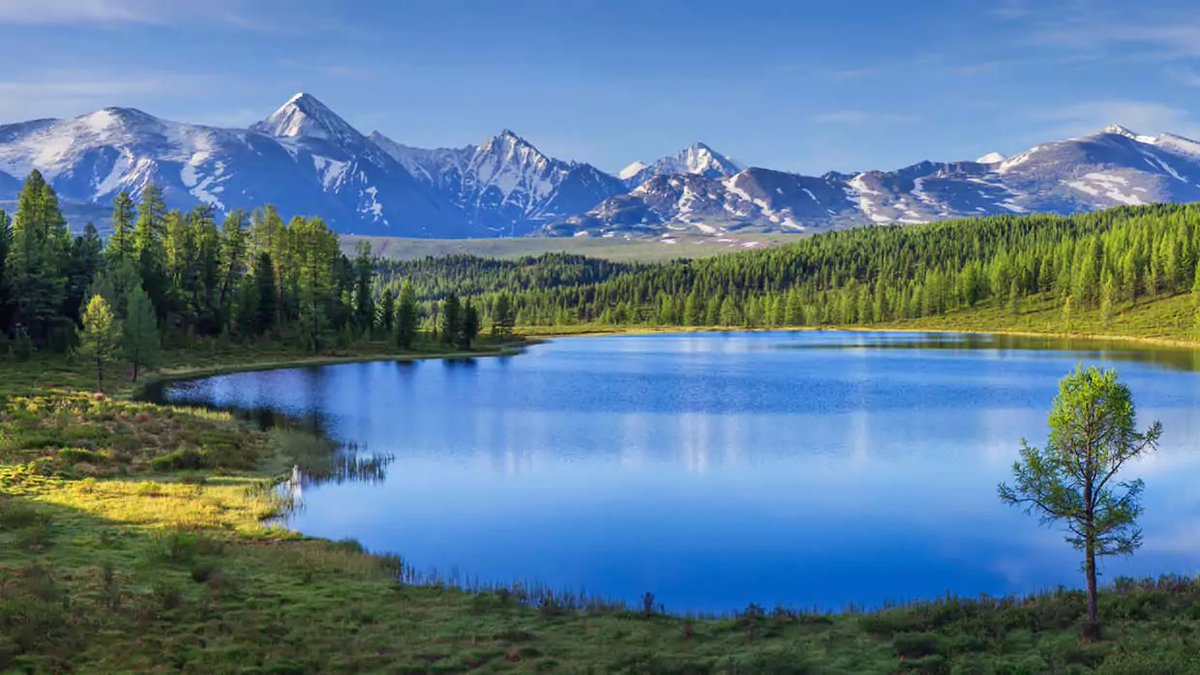 Hoy, en el Día Mundial de los Lagos, recordemos que en su silencio guardan la vida. 🌱 Cuidarlos es honrar la naturaleza y proteger nuestro mañana. #MedioAmbiente #Agua #Vida #Lagos #DíaMundialDeLosLagos