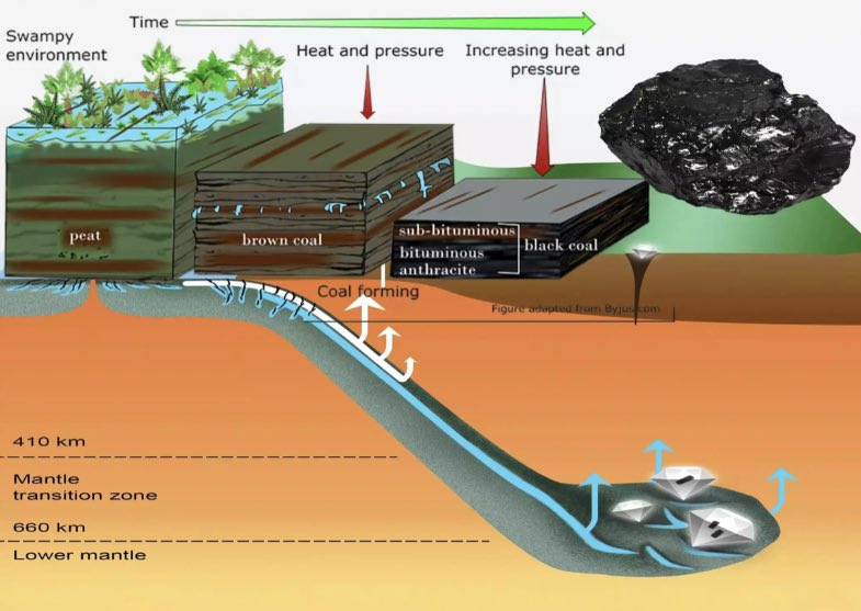 I wake up everyday looking for a gem but all I get is fucking $coal niga Ca: 9oXPtznCvm85MPxteZc8Nvmu3hA5Xq8rV5D4pBampump