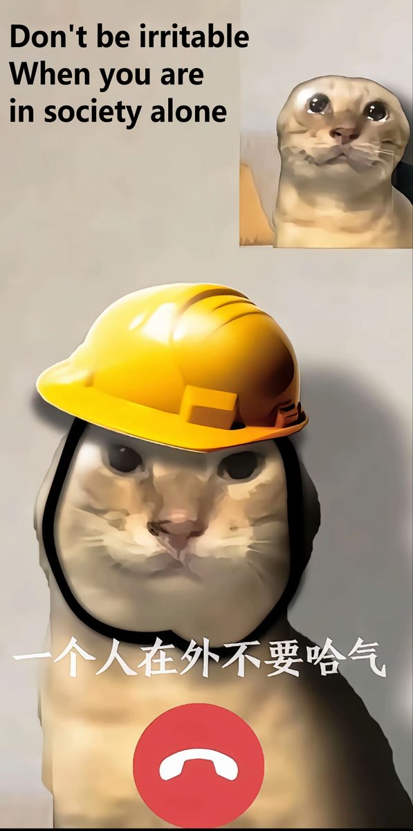 My groupfriend sent me this meme (p3). I thought it was very funny, so I drew a version of it featuring Kiamie. Hahaha I really love them！
#HonkaiImpact3rd #崩壊3rd #kiamei #meikia #崩坏3 #Kiana #キア芽衣