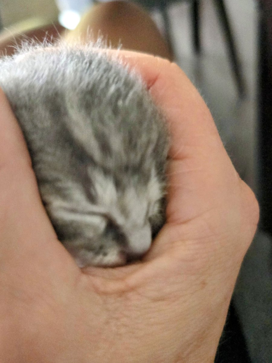 Andrea Burkhart 🐟🐟🐟🐟🏴‍☠️ tweet media